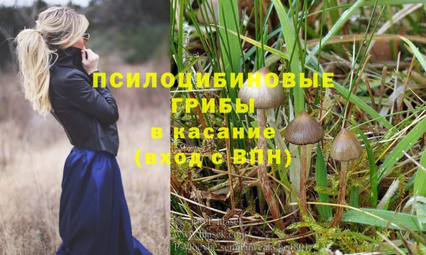 прущие крисы Покров
