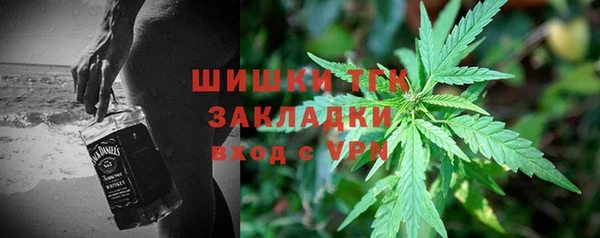 PSILOCYBIN Грязи