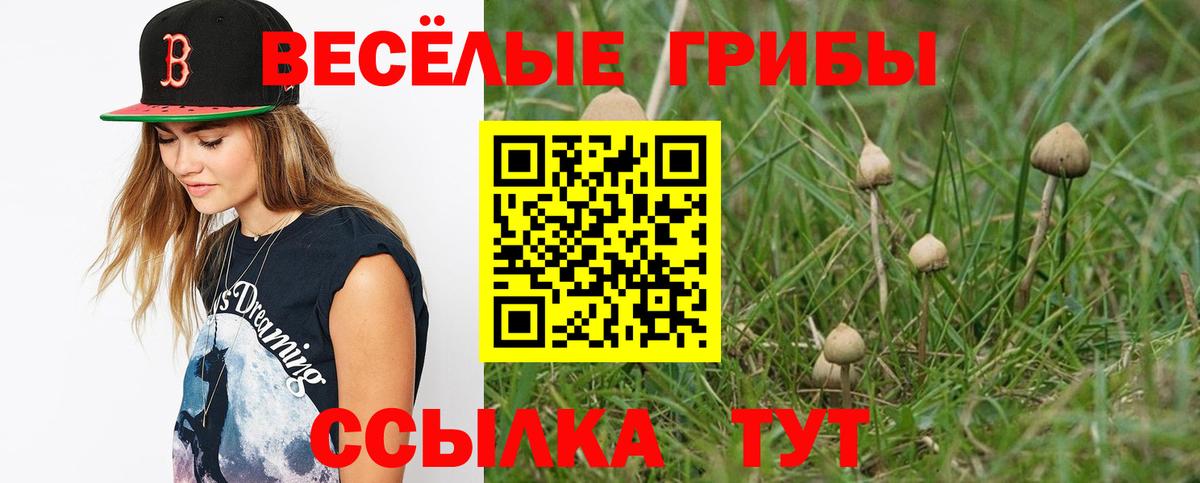Луховицы  цены наркотик  Вход с VPN  Галлюциногенные грибы Psilocybe 